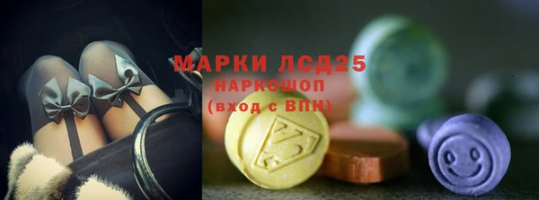 молекула духа Пересвет