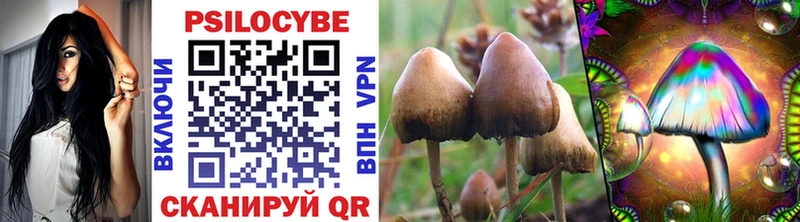 кракен ссылки  Чердынь  Галлюциногенные грибы Psilocybe  как найти наркотики 