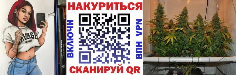 Бошки Шишки планчик  наркошоп  Чердынь 